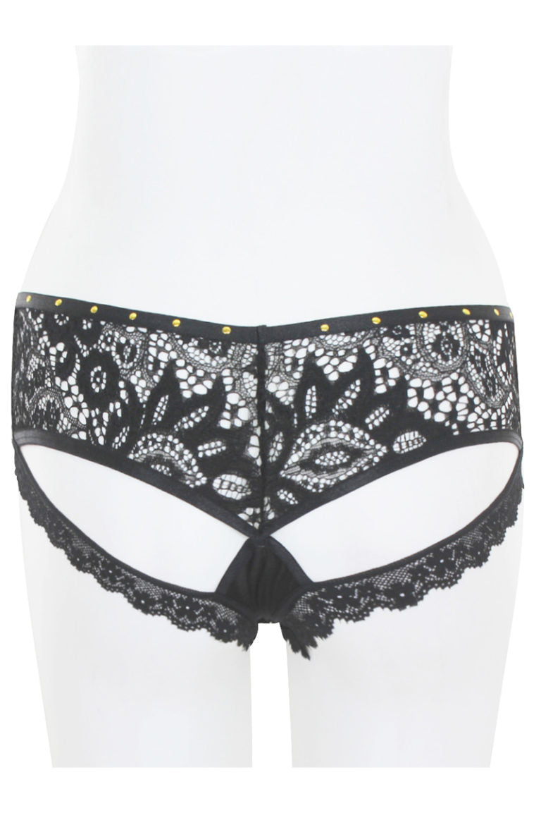 33201 Lace Back Hipster