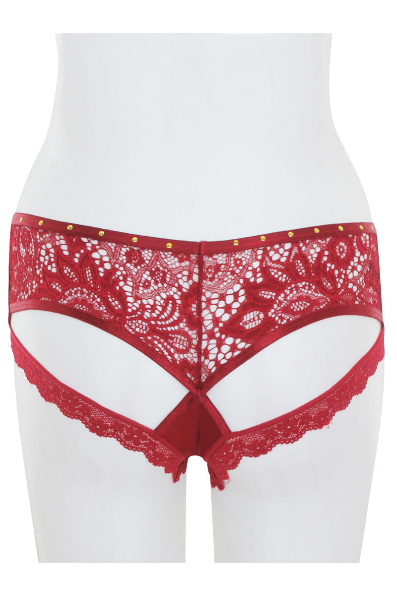 33201 Lace Back Hipster