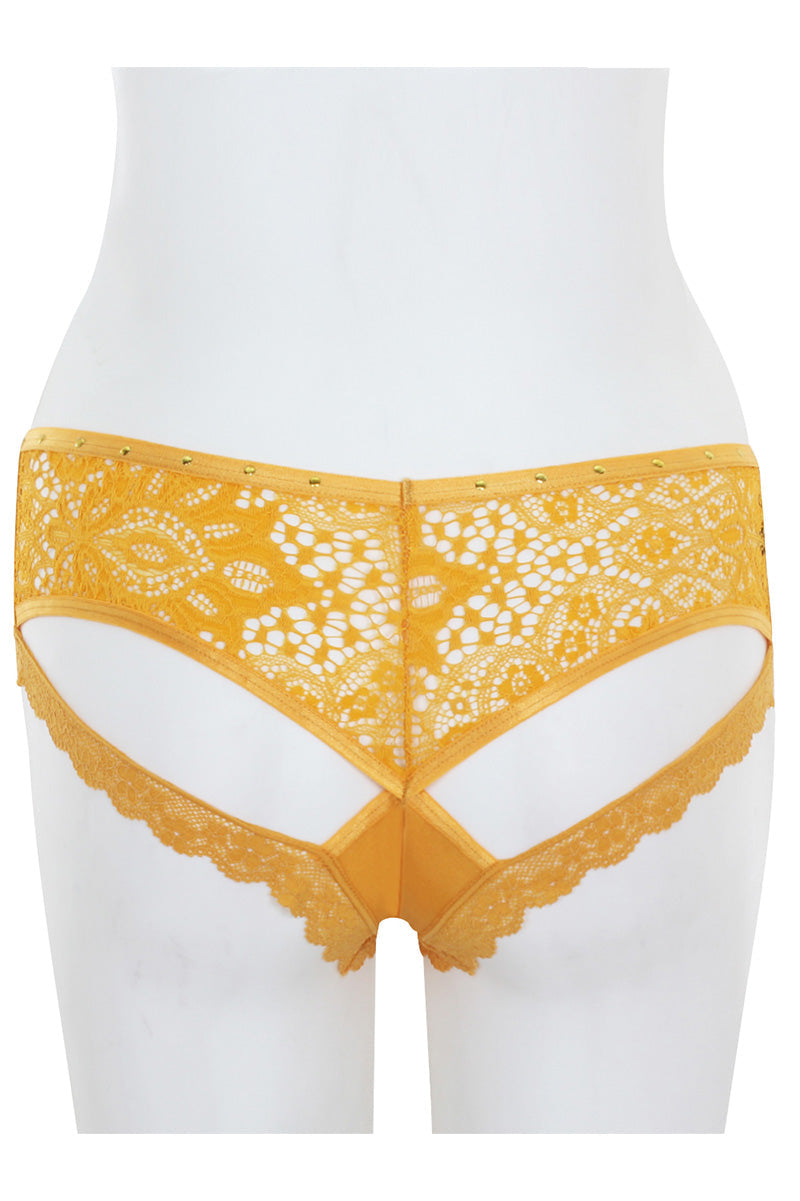 33201 Lace Back Hipster