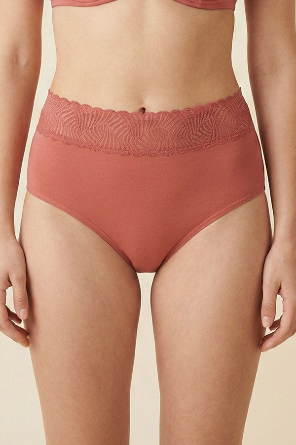 33572 Women’s Super Soft High Waist Lace Waistband Brief Panty-12pcs Assorted Color-Wholesale