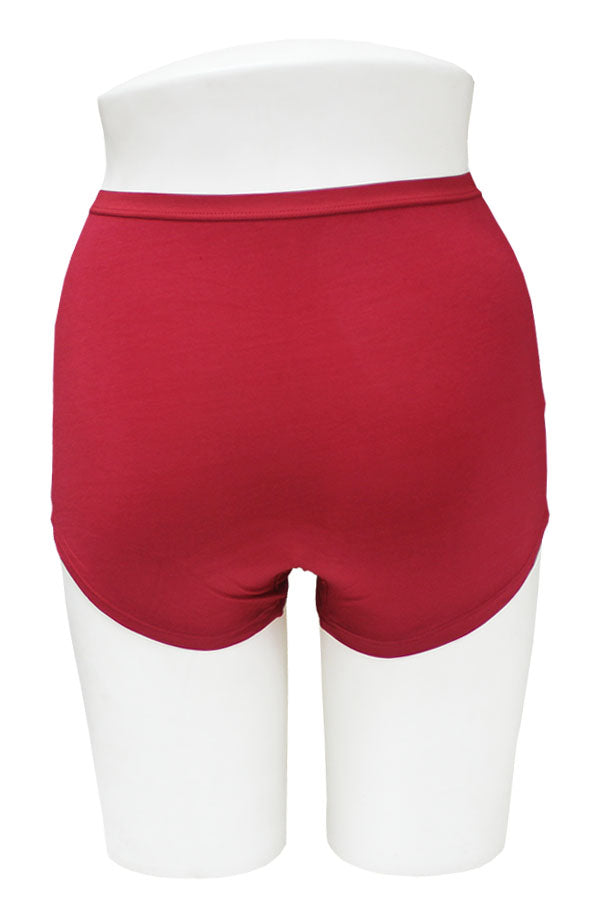 33579 12 Pieces Soft Panty with Elastic Band Modal Brief