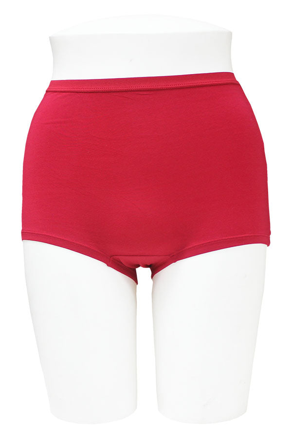 33579 12 Pieces Soft Panty with Elastic Band Modal Brief