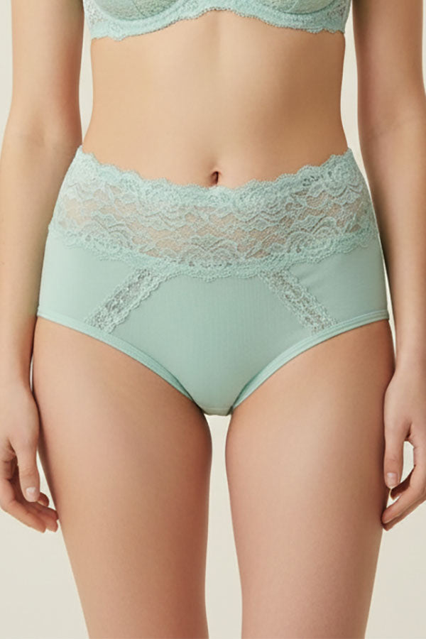 70091 12 Piece Solid Full Brief with Dual Lace Panels & Floral Lace Waistband C01