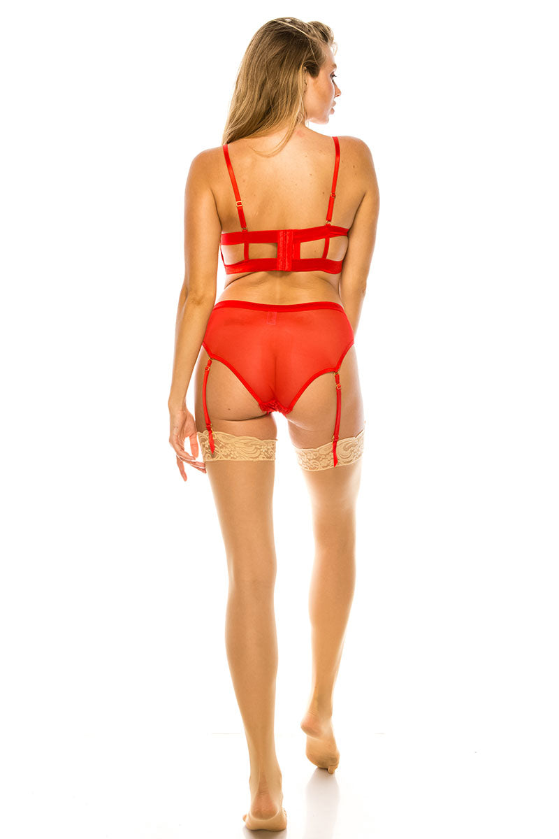 PL-BE232 6 Piece 2 pcs Underwire Push-Up, Floral Lace, Cage Back, Removable Garters Bra and Panty Set