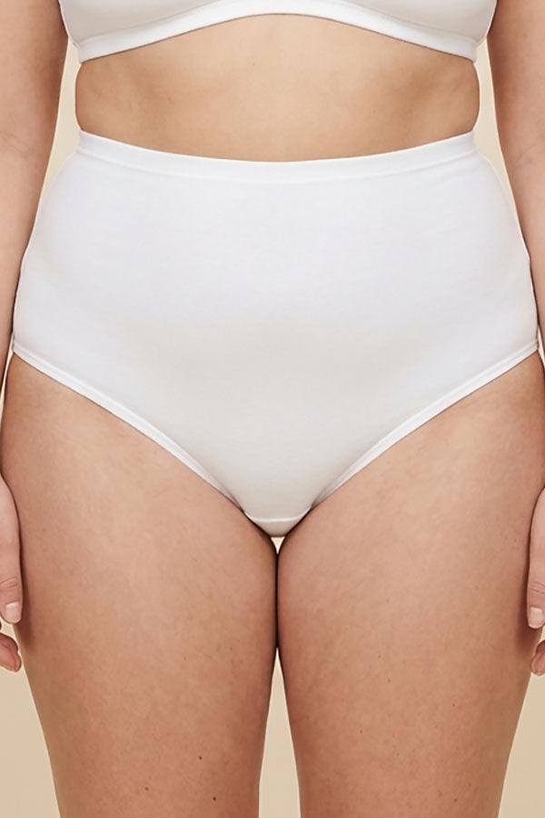 33538 High Waist Brief Panty – Soft Lightweight Nylon Spandex – Regular & Plus Size