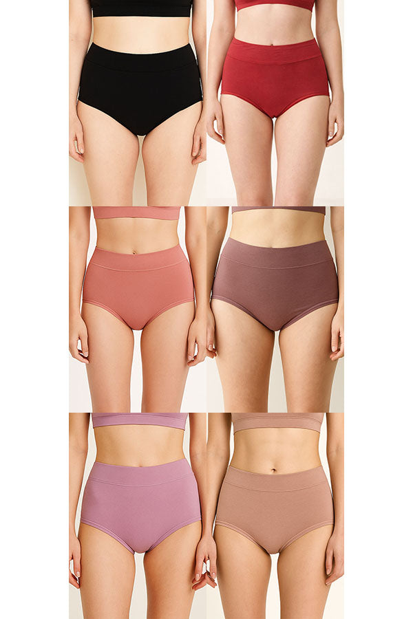 33567 Women’s High Waist Full Coverage Brief Panty-12pcs-Wholesale