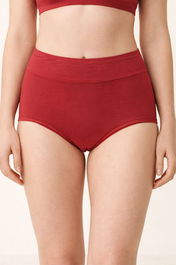 33567 Women’s High Waist Full Coverage Brief Panty-12pcs-Wholesale