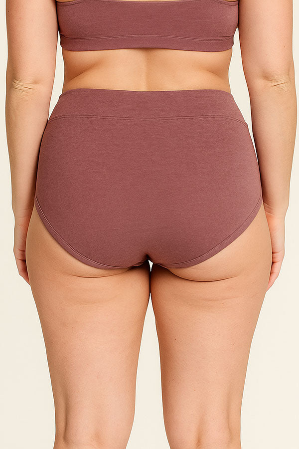 33567 Women’s High Waist Full Coverage Brief Panty-12pcs-Wholesale