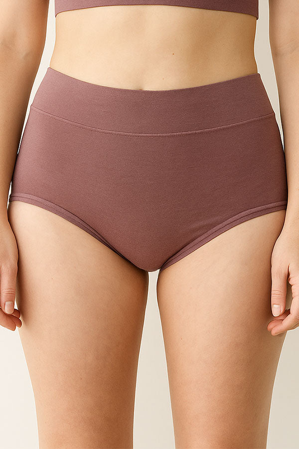 33567 Women’s High Waist Full Coverage Brief Panty-12pcs-Wholesale