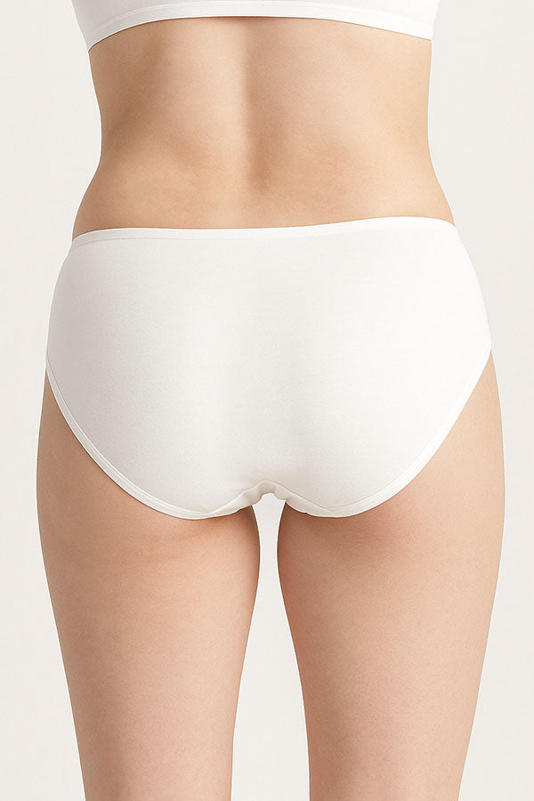 33584 Women’s Cotton Panty Underwear 12-Pack (S–XL)-Wholesale