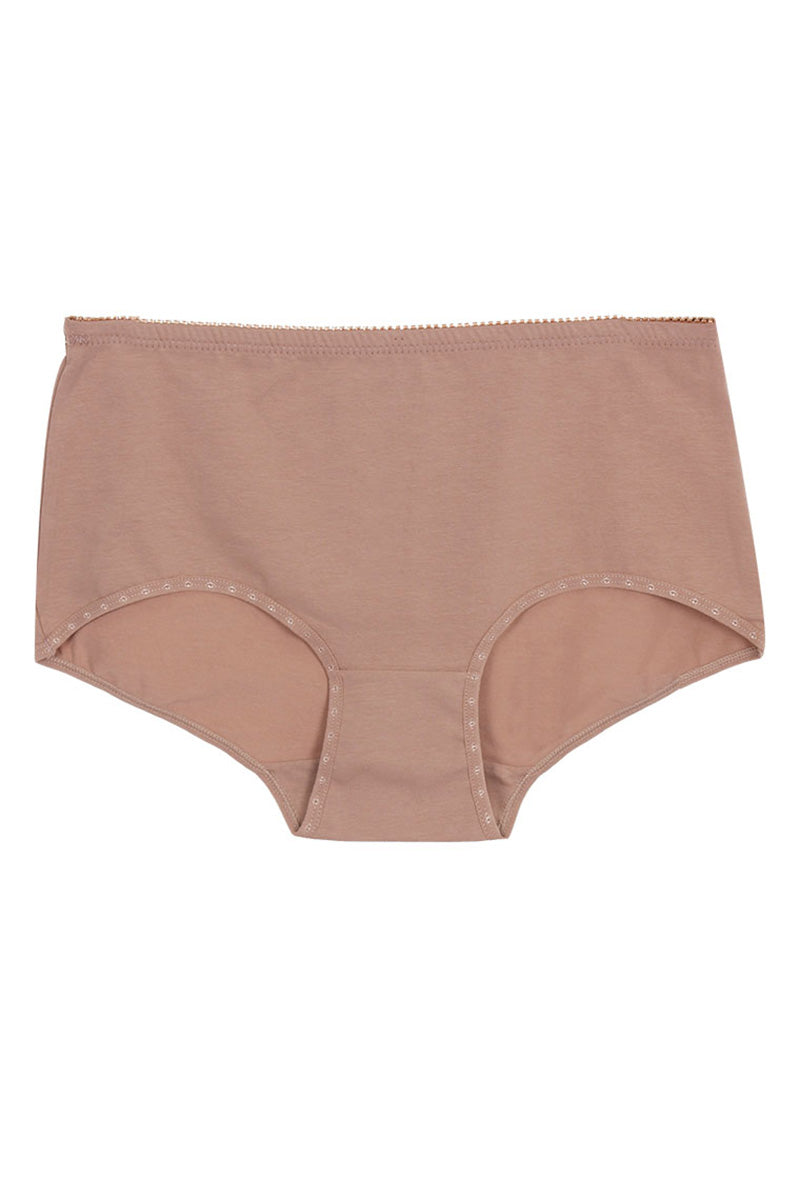 7027 Plus Cotton Panty C04