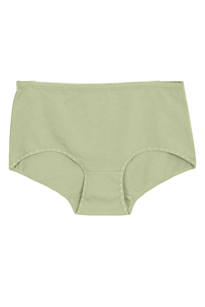 7027 Plus Cotton Panty C04